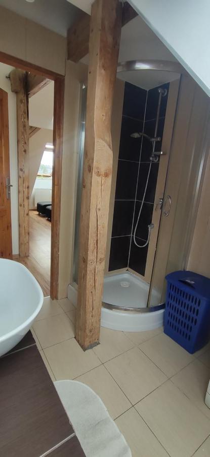 Apartament Gliwice Centrum Bagian luar foto